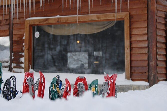 ushuaia-white-adventure-in-sleighs-with-huskys