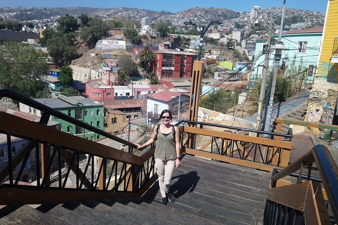 valparaiso-and-vina-del-mar-visit-their-houses-of-colors