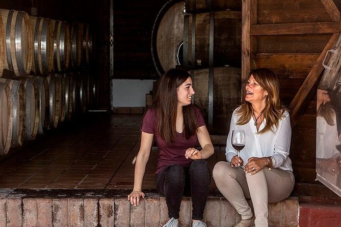 vesuvius-gran-cone-wine-tasting-lunch-transfer-from-naples