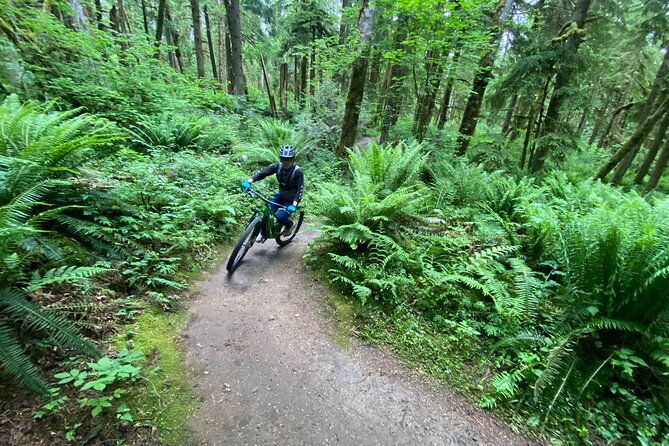 viator-exclusive-half-day-mountain-bike-tour-from-seattle