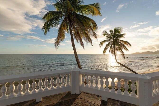 vieques-bio-bay-tour-and-beach-day-trip-from-san-juan-by-ferry
