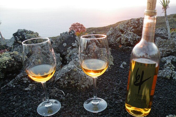 visit-bodegas-teneguia-winery-in-la-palma-with-wine-tasting