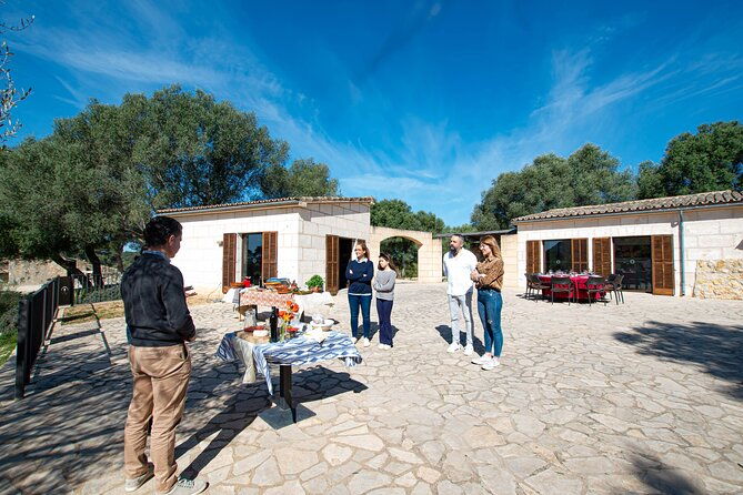 visit-the-finca-and-olive-grove-extra-virgin-olive-oil-tasting-and-snack