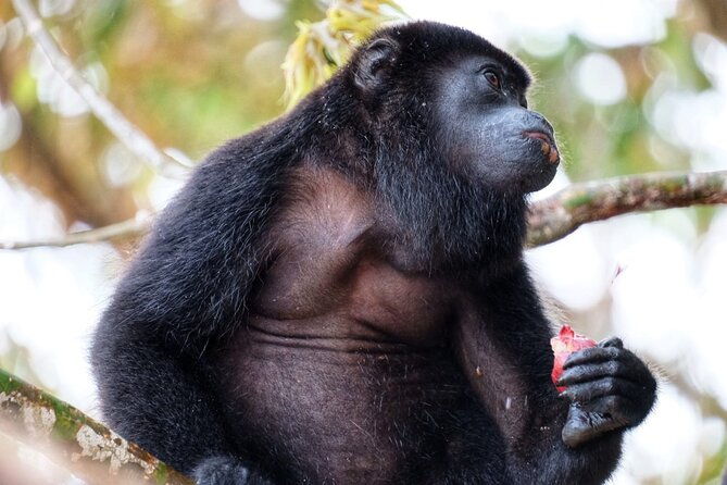 visit-the-indians-and-discover-the-rainforest