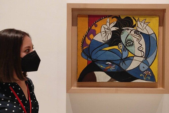 visit-the-picasso-museum-with-an-accredited-guide-2