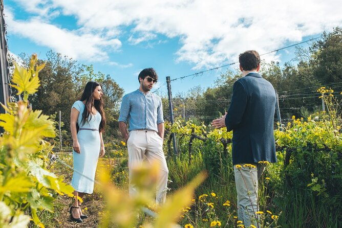 visit-to-the-cellar-with-wine-food-tasting-over-the-val-dorcia