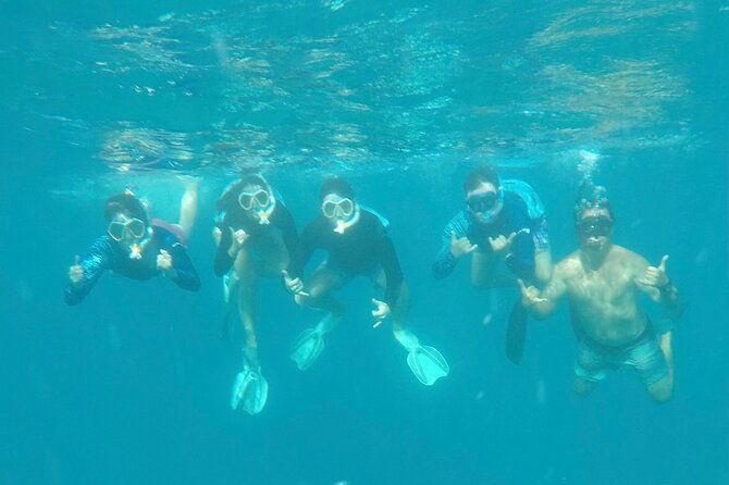 waikiki-small-group-turtle-snorkeling-sailing