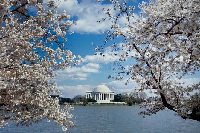 washington-dc-private-tour-with-luxury-suv