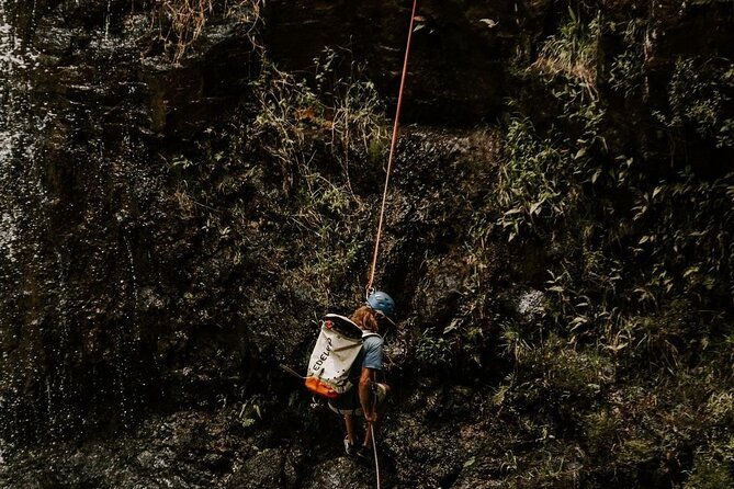 waterfall-rappelling-at-kulaniapia-falls-120-foot-drop-15-minutes-from-hilo