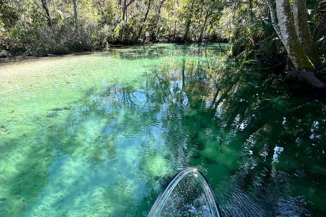 weeki-wachee-clear-paddle-board-ecotours