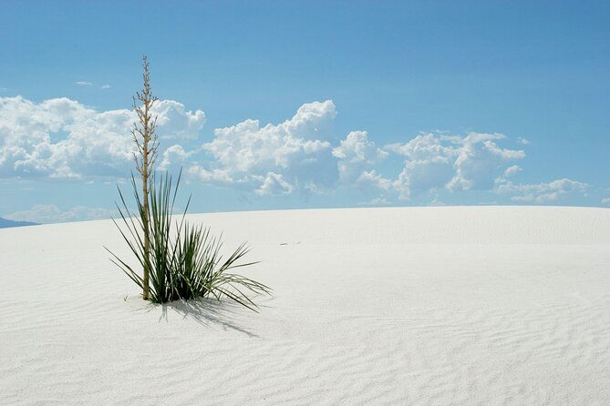 white-sands-national-park-audio-tour-guide