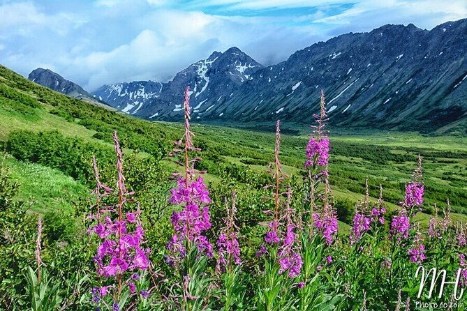 whittier-to-anchorage-full-day-transit-tour-from-the-port