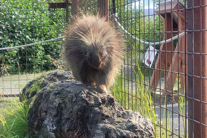 wildlife-center-with-lunch-local-beer-sampling-wintersummer-2
