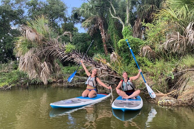wildlife-refuge-dolphin-manatee-mangrove-kayak-or-paddleboarding-tour