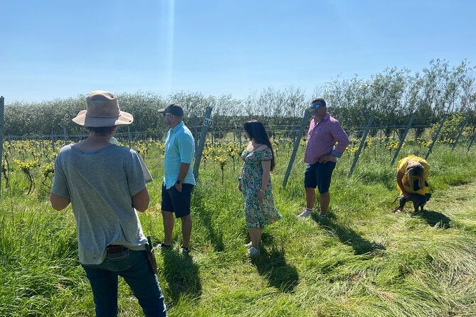 wine-and-cheese-tasting-tour-in-cheddar-valley