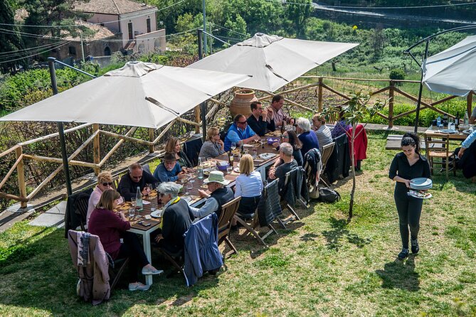 wine-and-lunch-tour