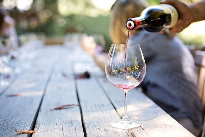 wine-cellar-tasting-in-montevideo-with-outstanding-lunch