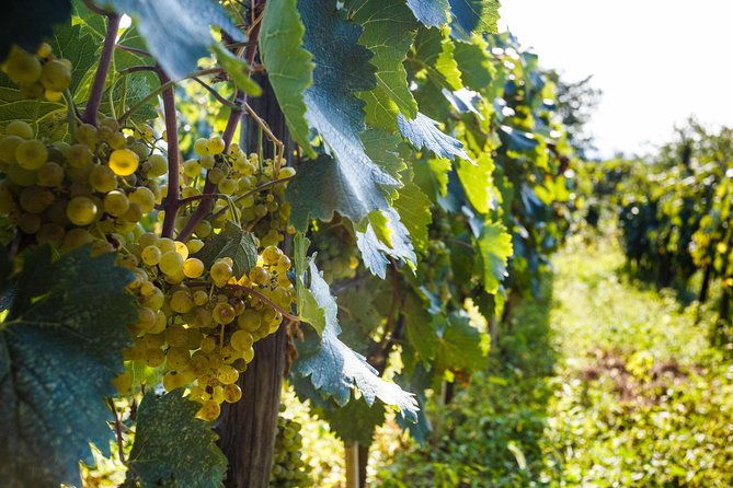 wine-dine-tour-from-kutaisi-2