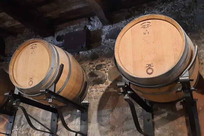 wine-experience-in-farm-vineyard-winery-from-montecatini-t