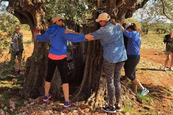 wine-olive-oil-tasting-in-an-organic-farm-in-laconia-greece
