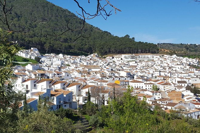 wine-tapas-tour-by-electric-bike-e-bike-including-ronda-pickup-full-day
