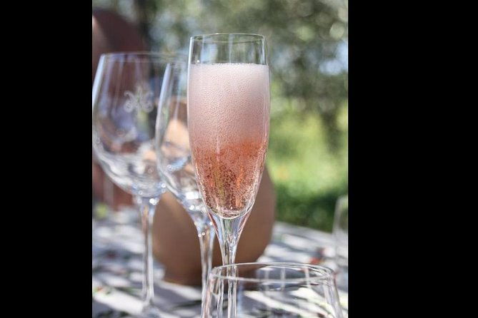 wine-tasting-and-winery-tour