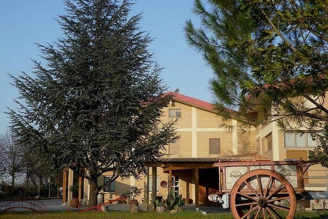 wine-tour-and-tasting-in-nocciano
