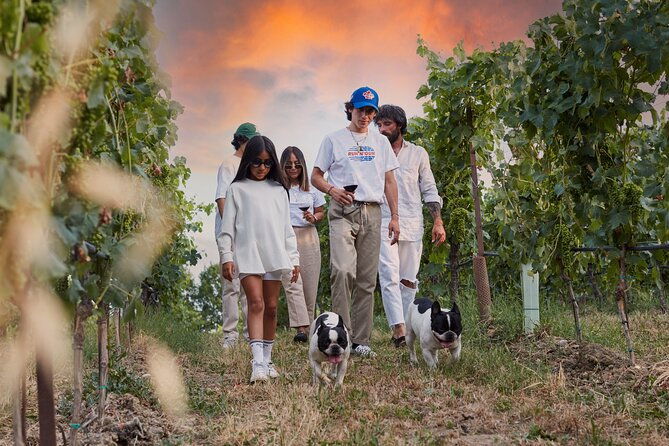 wine-tour-and-tasting-of-lugana-wines-in-desenzano