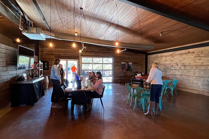 wine-tour-pros-fredericksburg-texas-wine-tour-up-to-6-people
