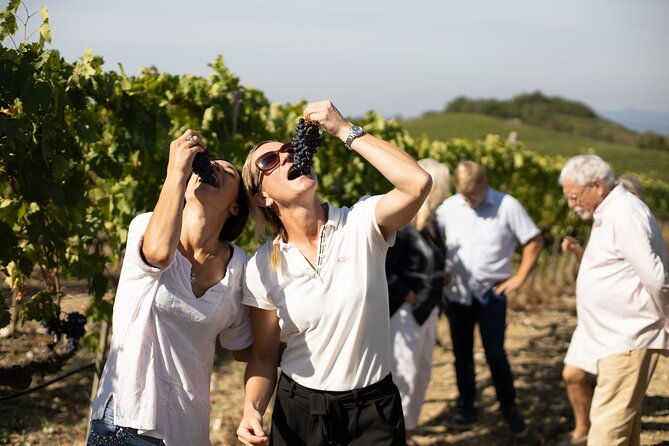 winery-tour-wine-tasting-in-montalcino