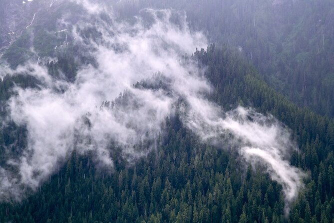winter-day-tour-to-longmire-on-mount-rainier-from-seattle