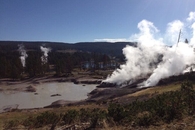 yellowstone-for-kids-all-inclusivefamily-fun-tours-pu-cody-wy