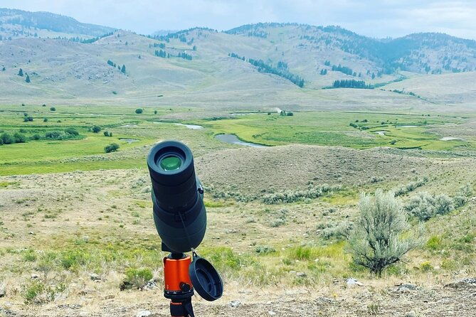yellowstone-full-day-upper-loop-with-wildlife-adventure-w-lunch