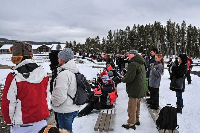 yellowstone-grand-teton-national-parks-winter-tour-small-group-4-day-tour