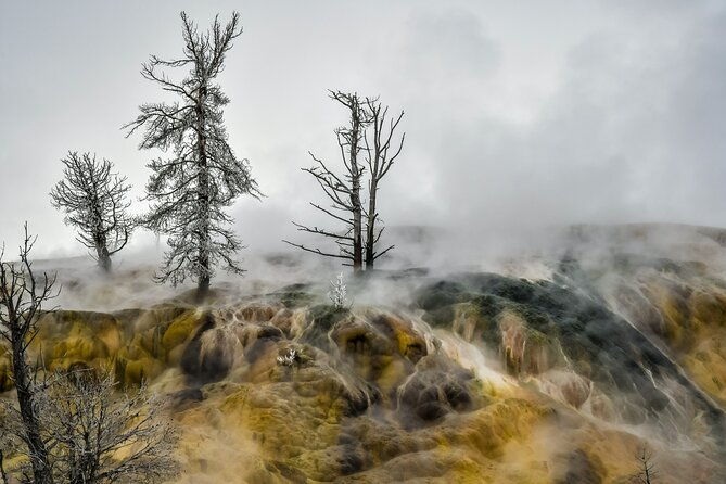 yellowstone-grand-teton-utah-mighty-5-winter-tour-small-group-9-day-tour
