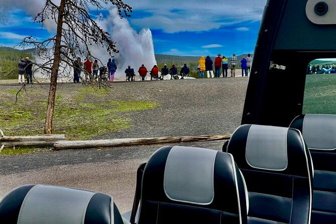 yellowstoneopen-air-glass-top-convertible-van-west-yellowstone