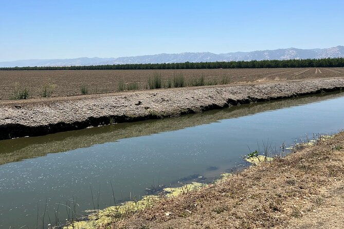 yolo-county-explorer-culinary-cultural-audio-tour