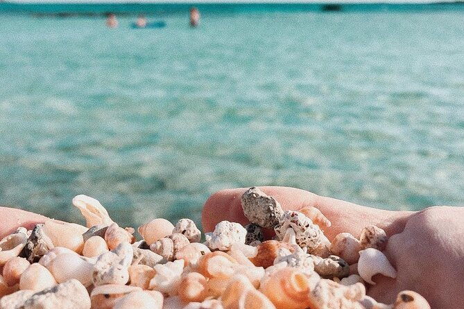 your-tailored-elafonisi-escape-luxury-day-tour-from-elounda