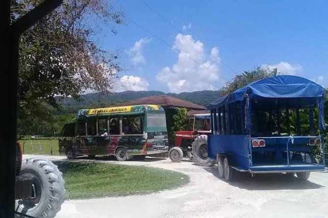 ys-falls-private-tour-from-montego-bay