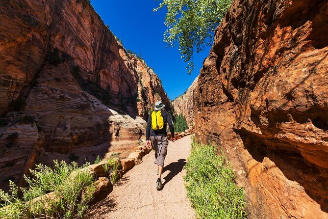 zion-national-park-self-guided-driving-shuttling-tour