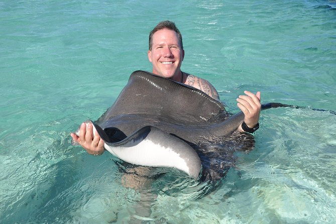 zipline-adventure-snorkeling-cruise-sharks-rays-encounter-from-punta-cana
