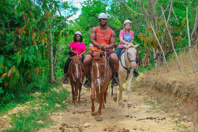 zipline-experience-with-buggy-horses-and-food-punta-cana