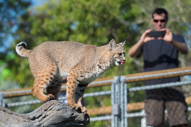 zoo-miami-ticket-with-optional-upgrade