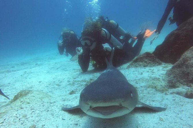 7-days-diving-and-hiking-on-the-galapagos-islands-tour