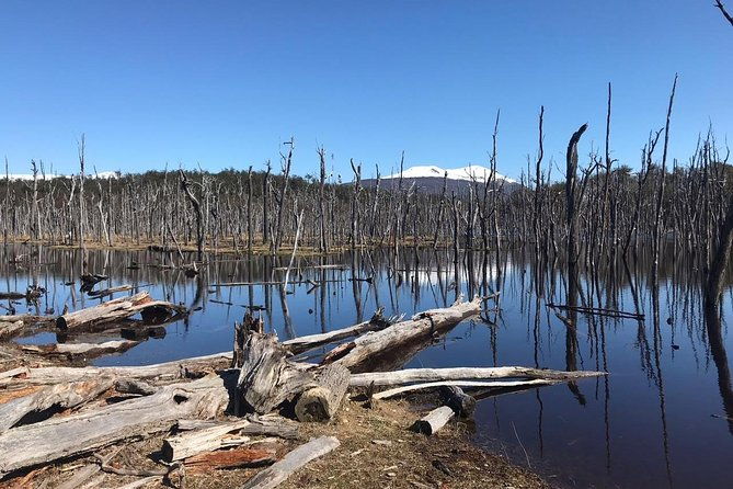7-hour-lakes-escondido-fagnano-ushuaia-shared-tour