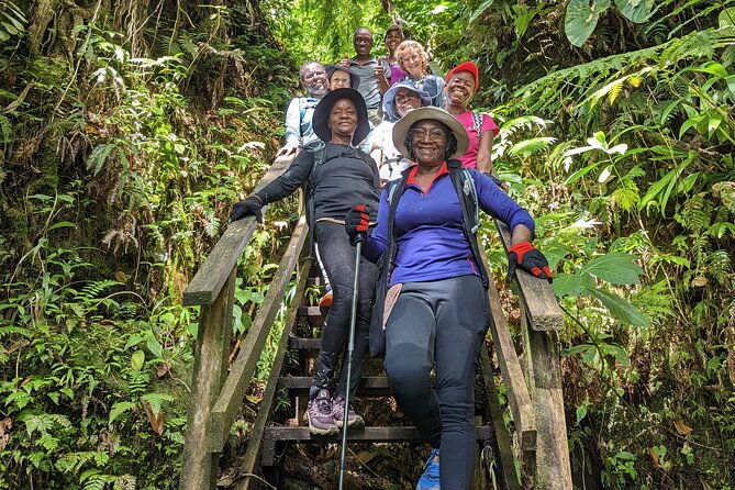 7-hours-wildlife-discovery-tour-in-dominica