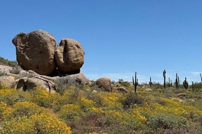 1-2-hour-sonoran-desert-private-guided-hiking-tour