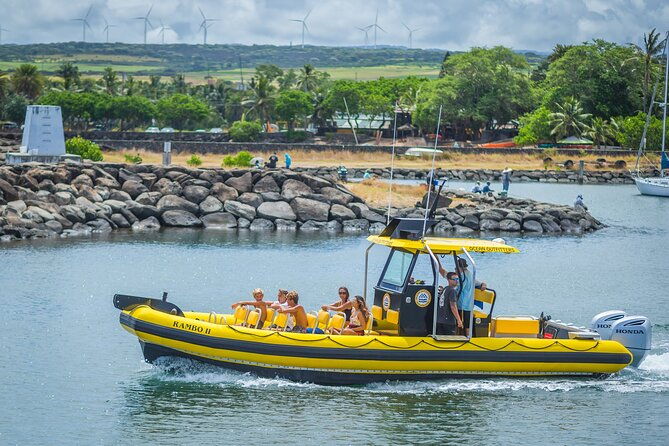 1-5-hour-guided-whale-and-marine-life-tour