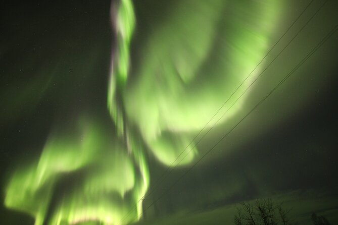 1-day-shared-tour-arctic-circle-and-aurora-viewing-in-alaska-2