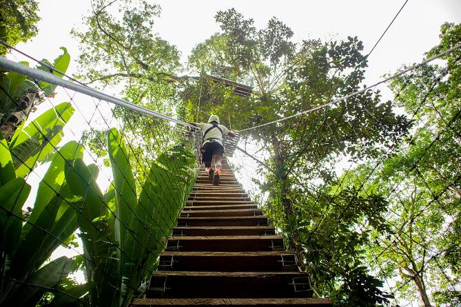 1-day-tree-climbing-and-rappelling-experience-with-accommodation